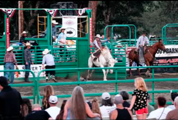 Saddle Up, Sacramento